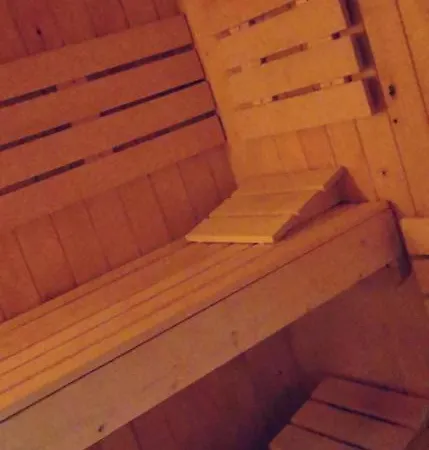 Apartman And Wellness Scavnicar *