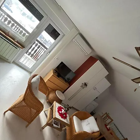 דירה And Wellness Scavnicar *