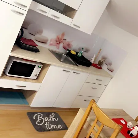 Apartment And Wellness Scavnicar *