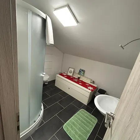 Apartman And Wellness Scavnicar