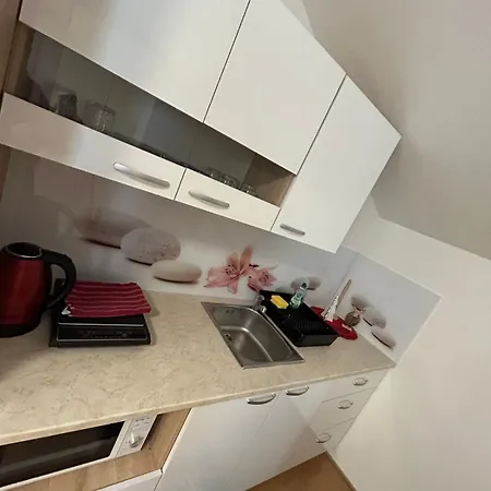And Wellness Scavnicar Apartment