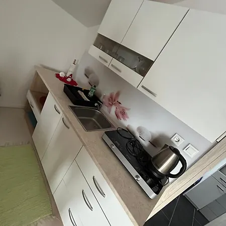 Apartment And Wellness Scavnicar *