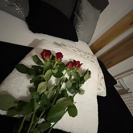 דירה And Wellness Scavnicar