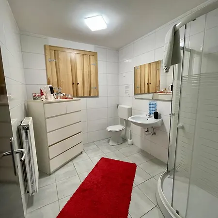 Apartment And Wellness Scavnicar *