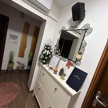 And Wellness Scavnicar Apartment
