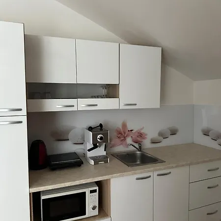 And Wellness Scavnicar Ljutomer