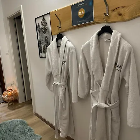 Apartma And Wellness Scavnicar *