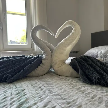 And Wellness Scavnicar Ljutomer