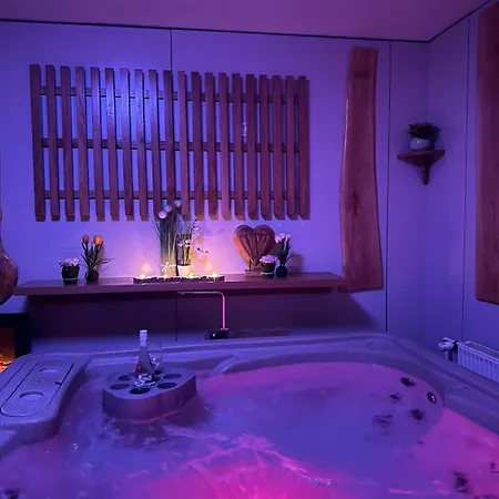 דירה And Wellness Scavnicar