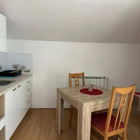 And Wellness Scavnicar