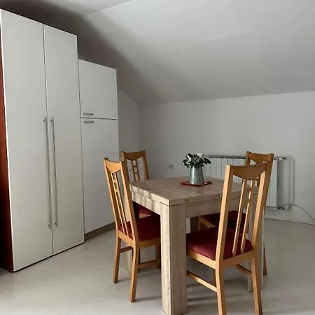 And Wellness Scavnicar Apartment