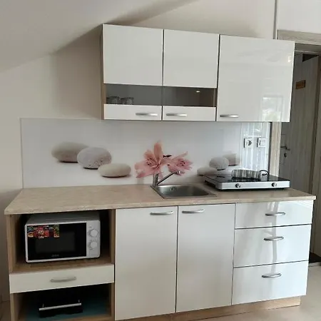 And Wellness Scavnicar Apartment Ljutomer