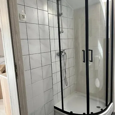 And Wellness Scavnicar Apartment *
