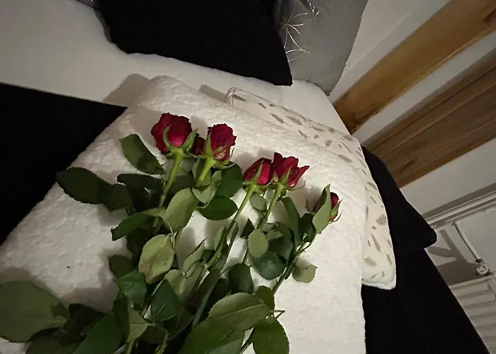 Appartement And Wellness Scavnicar