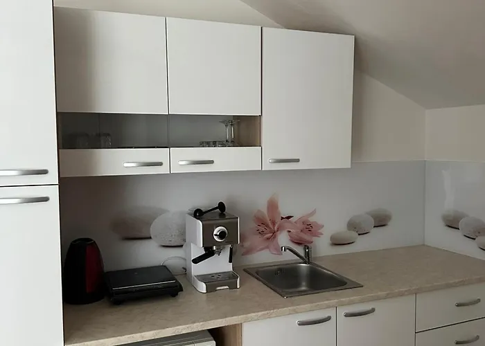 And Wellness Scavnicar ליוטומר