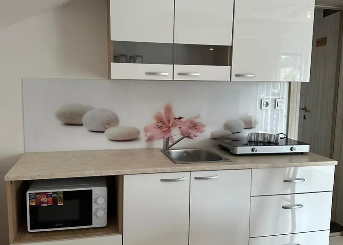 Appartement And Wellness Scavnicar Ljutomer