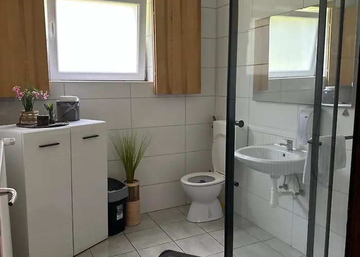 And Wellness Scavnicar * ליוטומר