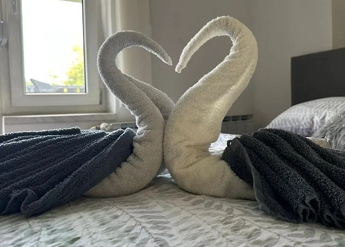 And Wellness Scavnicar Ljutomer