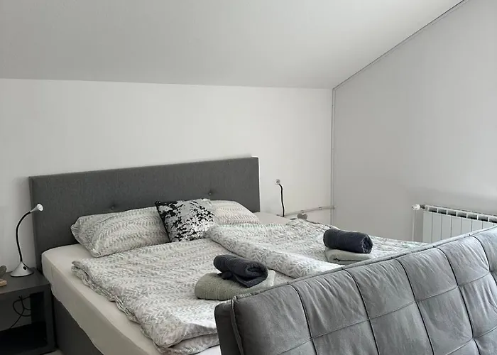 And Wellness Scavnicar