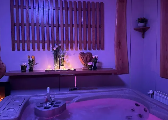 דירה And Wellness Scavnicar