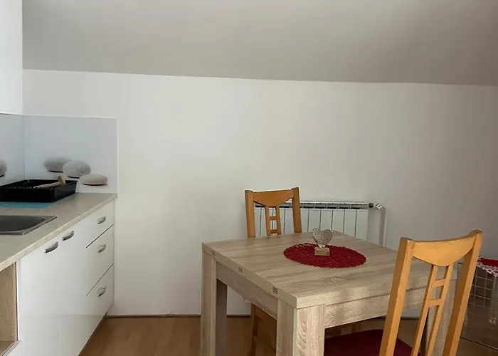 And Wellness Scavnicar