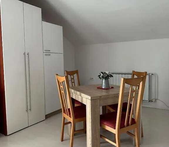 And Wellness Scavnicar דירה