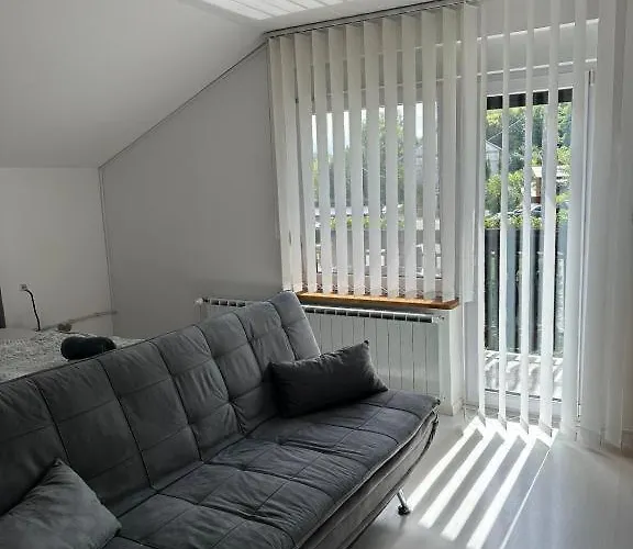 Appartement And Wellness Scavnicar *